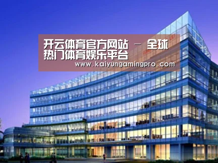 案例展示五