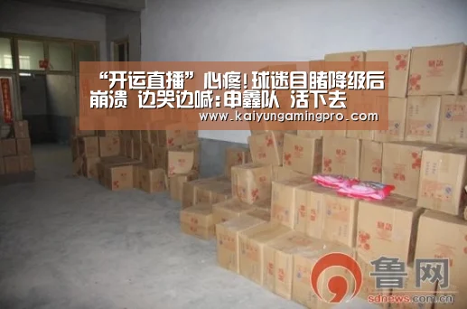 “开运直播”心疼!球迷目睹降级后崩溃 边哭边喊:申鑫队 活下去(图1) 开运直播