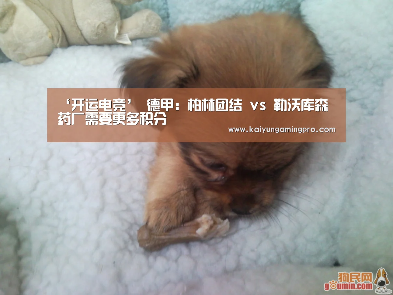 ‘开运电竞’
德甲:柏林团结 vs 勒沃库森 药厂需要更多积分(图2) 开运直播
