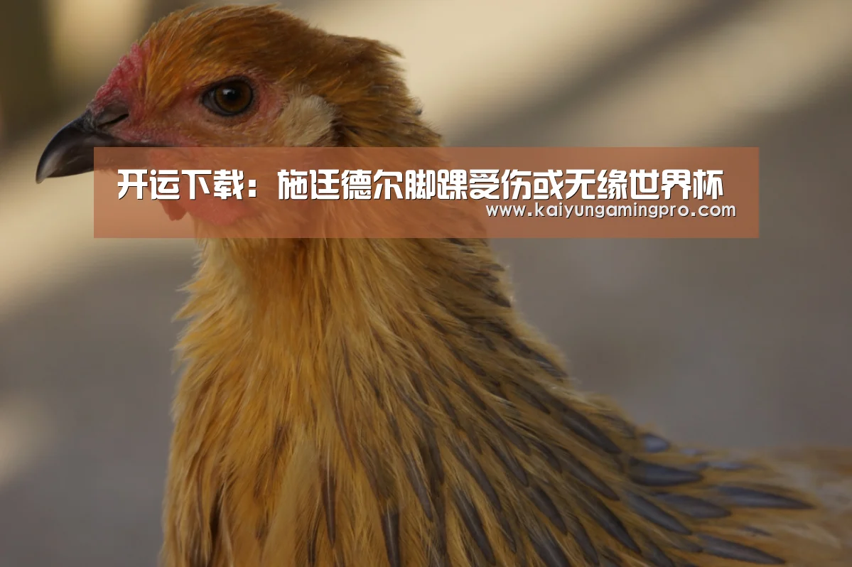 开运下载